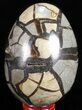 Septarian Dragon Egg Geode - Black Crystals #57477-2